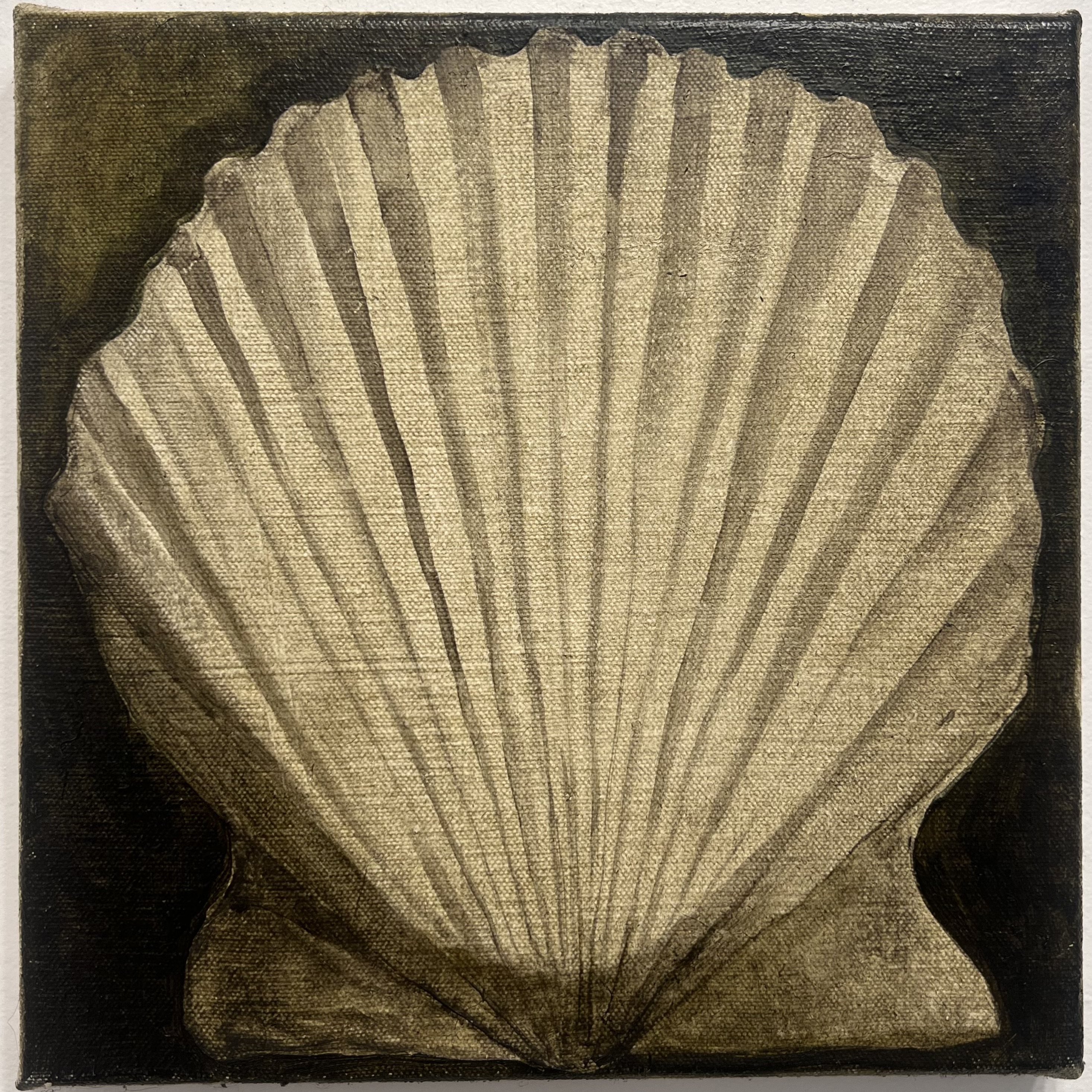 Scallop Shell, oil on canvas, 10